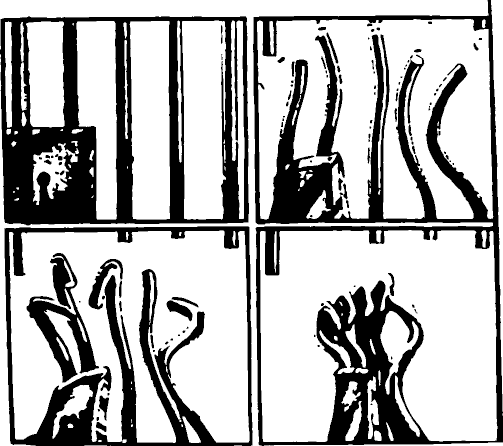 Άμεση χορήγηση άδειας στον πολιτικό κρατούμενο Δ. Κουφοντίνα